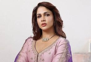 Lavanya Tripati: మెగా కోడలికీ తప్పని సోషల్ మీడియా వేధింపులు..