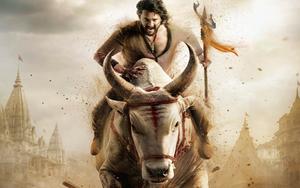 Varanasi: టైటిల్ గ్లింప్స్‌తోనే ఇంతలా తిప్పితే.. మిగిలిన అప్‌డేట్స్ మాటేంటి?