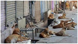 Telagana News: ఇంత దారుణమా? మనుషులేనా?